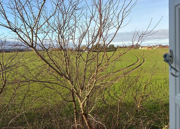 Amazing In With Wifi *